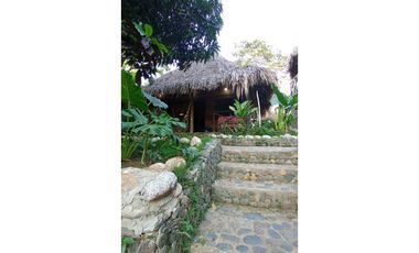 Cabañas turísticas tayrona