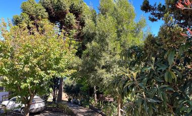 3 Casas con orilla Lago Colbún en 16.870 m2.