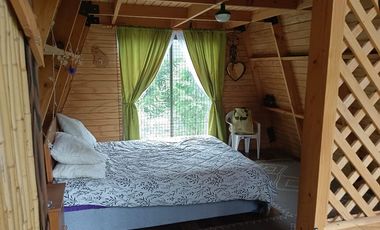 SE VENDEN 2 PARCELAS DE 5.500 M2 C/U lINARES