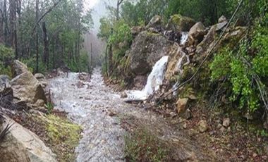 SE VENDEN 2 PARCELAS DE 5.500 M2 C/U lINARES