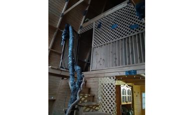 SE VENDEN 2 PARCELAS DE 5.500 M2 C/U lINARES