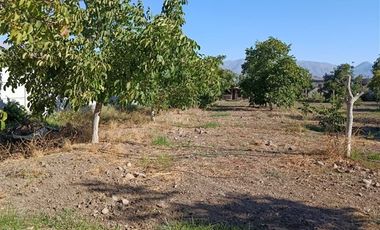 Casa en Venta en SE VENDE PARCELA CON CASA EN SECTOR LIBERTAD 643 COMUNA DE SAN ESTEBAN
