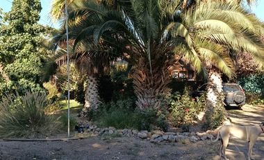 Casa en Venta en SE VENDE PARCELA CON CASA EN SECTOR LIBERTAD 643 COMUNA DE SAN ESTEBAN