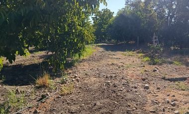 Casa en Venta en SE VENDE PARCELA CON CASA EN SECTOR LIBERTAD 643 COMUNA DE SAN ESTEBAN