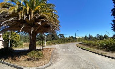 Excelente terreno en Lo Pequén Alto