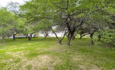 Casa en Venta en La Boca de Monje Delta de Bucare con 1100m2 de terreno