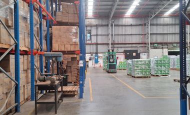 Nave Industrial - El Talar De Pacheco