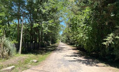 Venta - Lote - Barrio Los Pinos - Exaltación de la Cruz