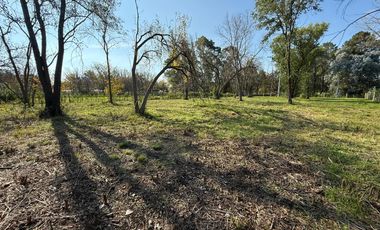 Venta - Lote - Barrio Los Pinos - Exaltación de la Cruz