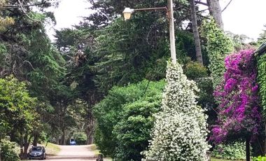 Departamento de 2 ambientes   terraza en Montecarlo, Pinamar