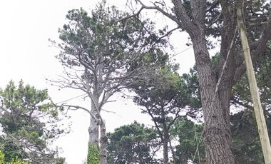 Departamento de 2 ambientes   terraza en Montecarlo, Pinamar