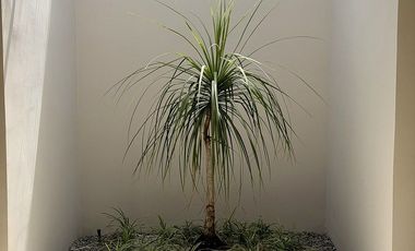 Casa de una planta con diseño moderno y excelente distribución