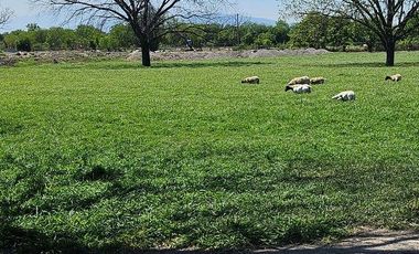 TERRENO EN RENTA ZONA APODACA