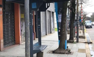 Local en Venta Hurlingham