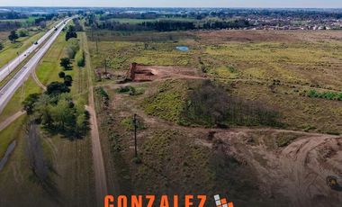 Campo en Cañuelas - 25 Ha