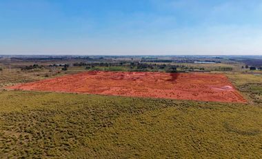 Campo en Cañuelas - 25 Ha