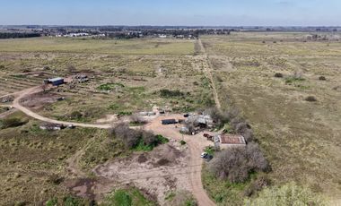 Campo en Cañuelas - 25 Ha