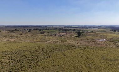 Campo en Cañuelas - 25 Ha