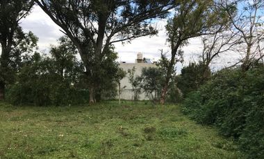 Casa - Victoria