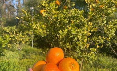 CASA MEDITERRÁNEA 360 M² EN 5.000 M², COND TIERRA BUENA