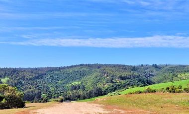 VENTA DE TERRENOS EN EXCLUSIVO CONDOMINIO - LAS CRUCES  EL TABO