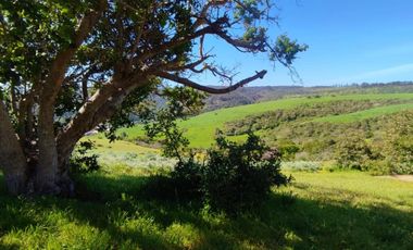 VENTA DE TERRENOS EN EXCLUSIVO CONDOMINIO - LAS CRUCES  EL TABO