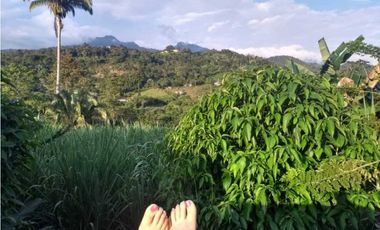 Venta 2 Hectáreas en La Mesa Cundi