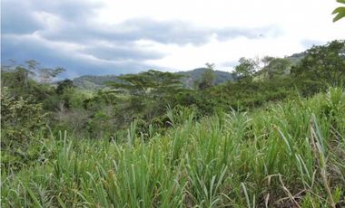 Venta 2 Hectáreas en La Mesa Cundi