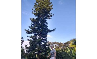 Venta 2 Hectáreas en La Mesa Cundi