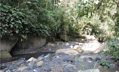 Venta 2 Hectáreas en La Mesa Cundi