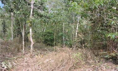 Venta 2 Hectáreas en La Mesa Cundi