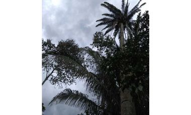 Venta 2 Hectáreas en La Mesa Cundi