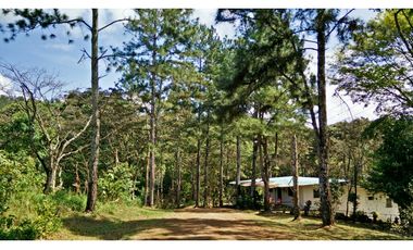 Venta de terreno en Cerro Azul