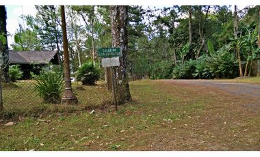 Venta de terreno en Cerro Azul