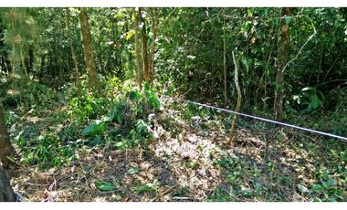 Venta de terreno en Cerro Azul