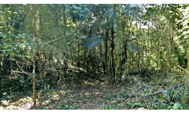 Venta de terreno en Cerro Azul