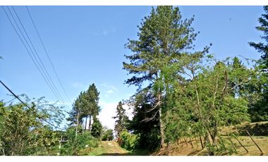 Venta de terreno en Cerro Azul