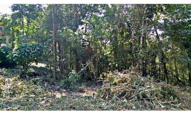 Venta de terreno en Cerro Azul