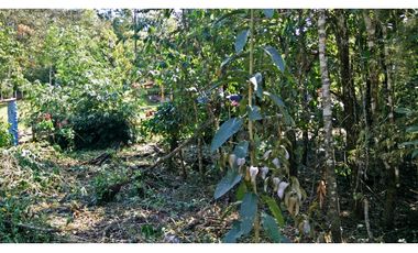 Venta de terreno en Cerro Azul