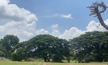 Land for sale in Hua Hin City, Prachuap Khiri Khan