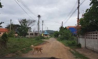 Land for sale in Nong Kae, Prachuap Khiri Khan