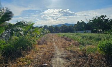 Land for sale in Hua Hin City, Prachuap Khiri Khan