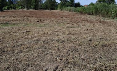 Land for sale in Nong Kae, Prachuap Khiri Khan