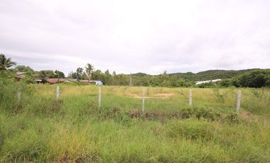 A Home Away from Home: Explore Limitless Potential in Nong Kae!