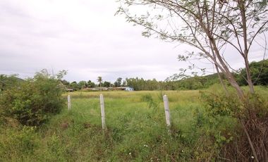 A Home Away from Home: Explore Limitless Potential in Nong Kae!