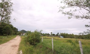 A Home Away from Home: Explore Limitless Potential in Nong Kae!