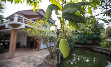 3 Bedroom Villa for sale in Bang Chak, Bangkok