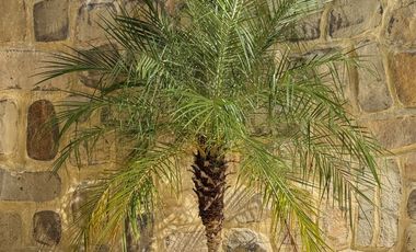 3 Bedroom Villa for sale at Seafora Villa by DM Projects