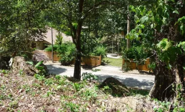 2 Bedroom House for sale in Khok Kloi, Phangnga