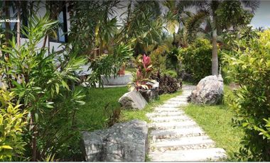 Peaceful 2-Bedroom House Surrounded by Nature
